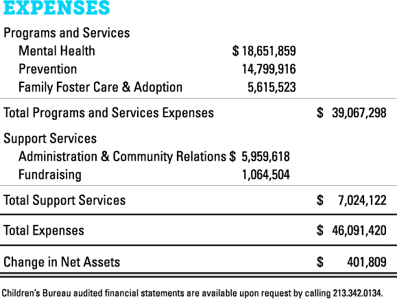 Expenses Chart